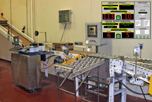 automated labeling line