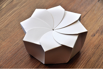Biomimicry design origami technique