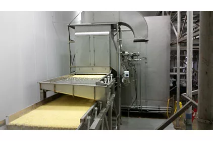 FPS Pulse Flow IQF freezer