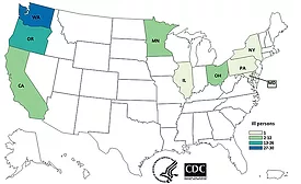 Chipotle E. Coli outbreak