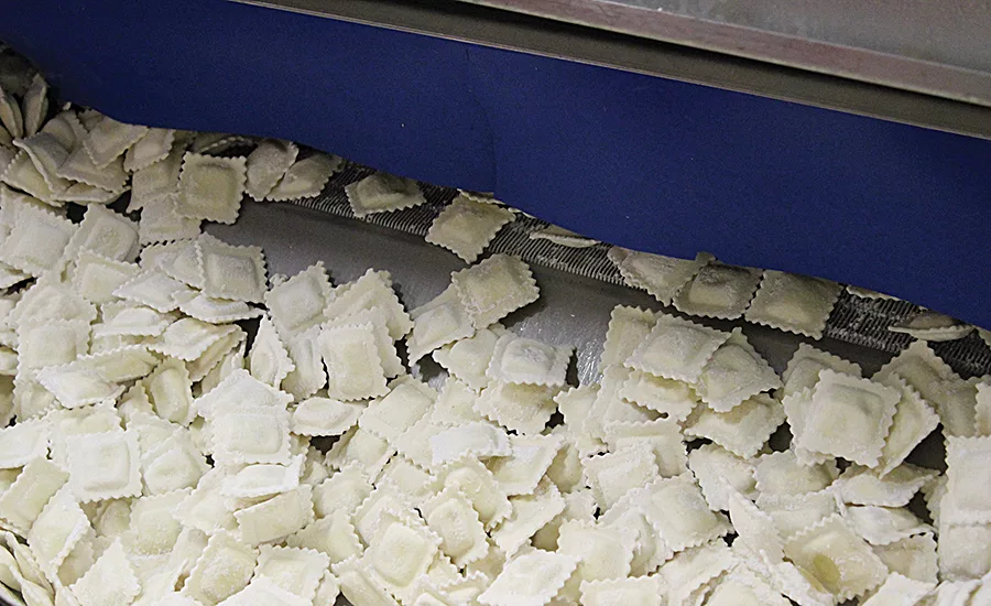 CRYOLINE CW CRYOWAVE IQF freezer