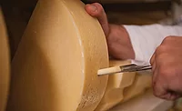 Arthur Schuman Inc. tests cheeses Arthur Schuman Inc. tests cheeses