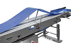 Sanitary conveyors