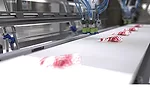 Delkor robotic case-packer