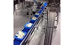 Dorner sanitary conveyors