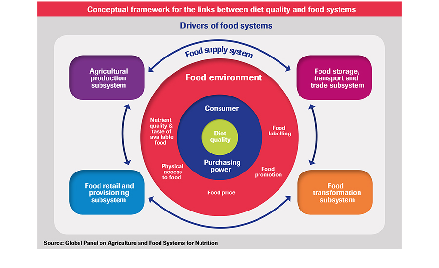 Malnutrition Diet Chart