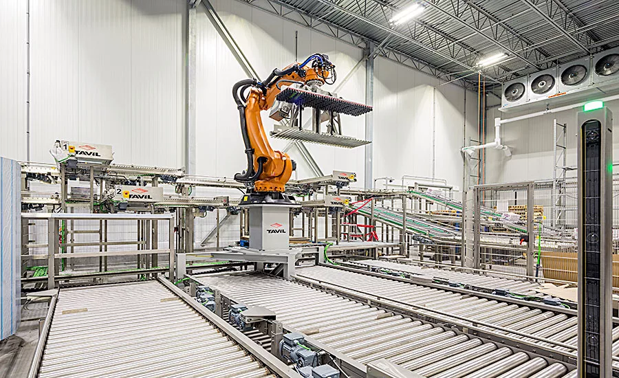 Tavil robotic palletizing system