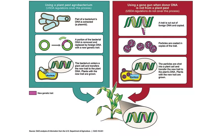 next-generation GMOs