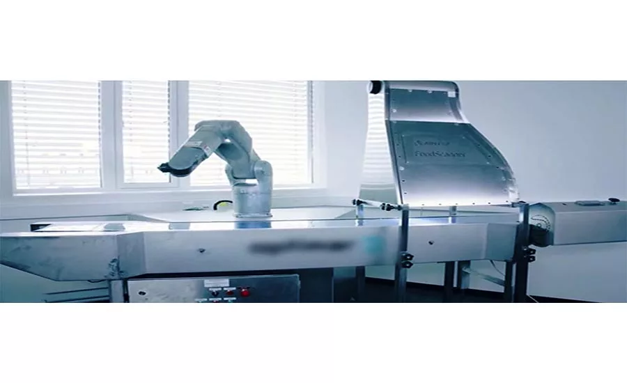 robotic fish cutting system