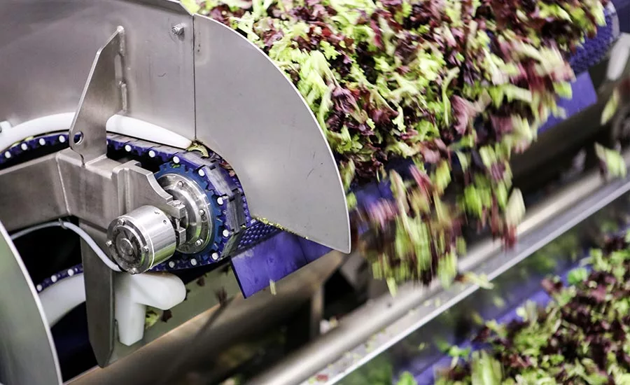 drum motor used in conveyor