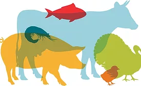 drug residue detector