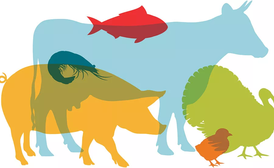 drug residue detector