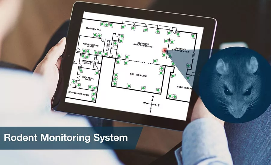rodent monitoring device