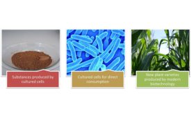 products produced with cell cultures