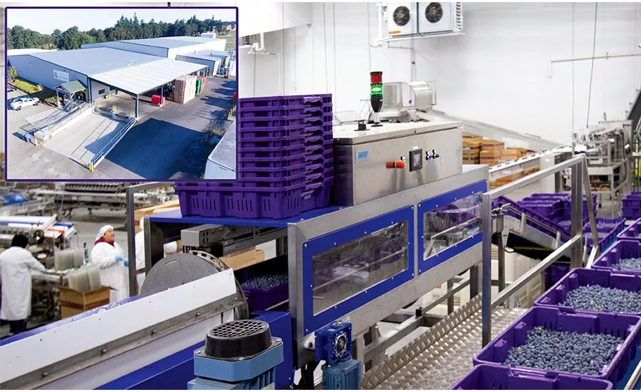 AC Foods blueberry processing facility