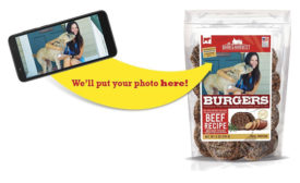 pet photo on dog treat packaging