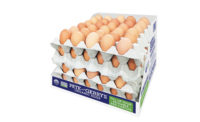 reusable egg carton