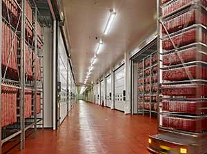 salami plant aging room