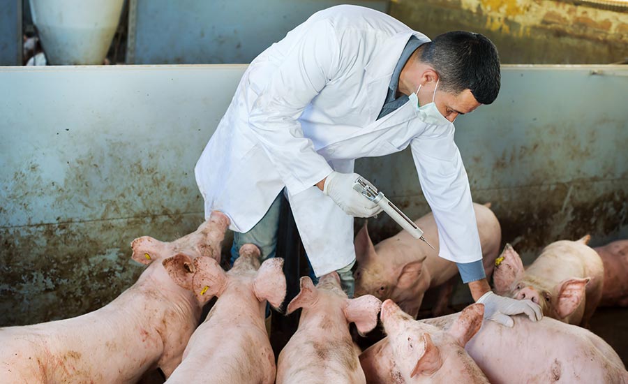 Decreasing antibiotic use in food animals proves difficult to track | Food  Engineering