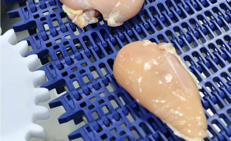 SideDrive Conveyor Company