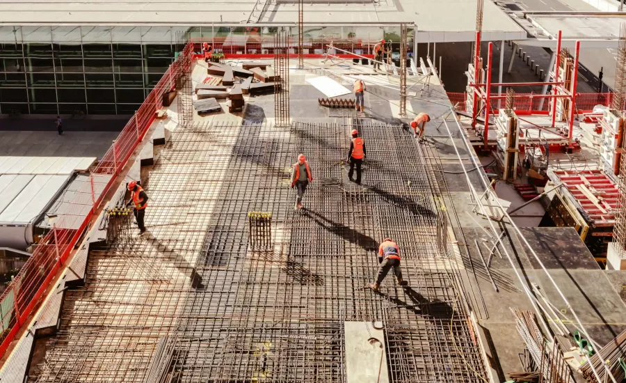 Plant Construction Survey