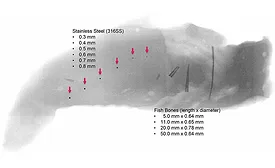 FE_Eng_R&D-08-21-ABM_SS-Fishbone.jpg