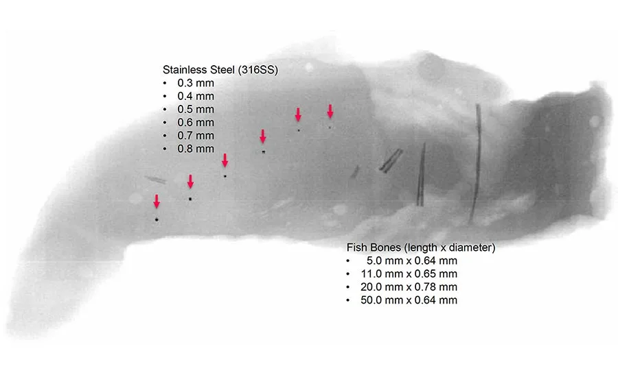 FE_Eng_R&D-08-21-ABM_SS-Fishbone.jpg