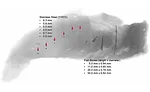 FE_Eng_R&D-08-21-ABM_SS-Fishbone.jpg