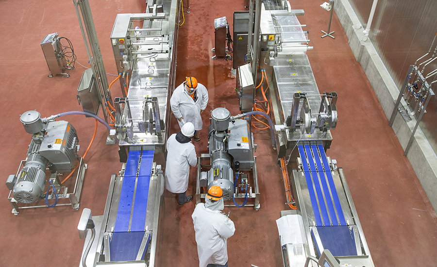 Production Line Setup
