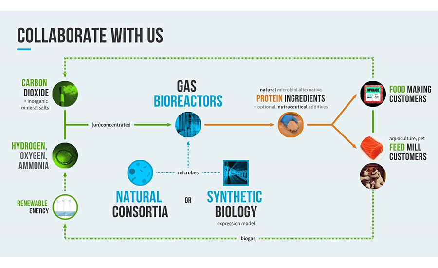 Core Value Chain