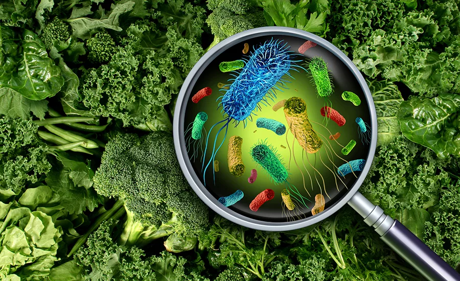 Regulatory Watch, Food Safety