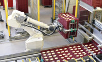 Robots used in industrial production line of bakery products