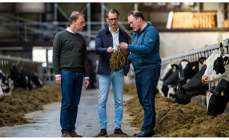 Dutch businesses collaborating