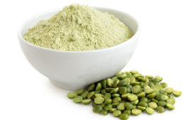 Pea and legume protein