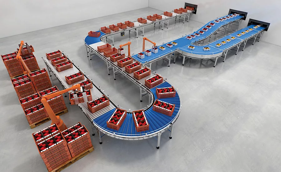 Automation and food processing