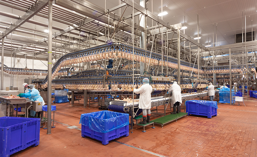 2022 Plant of the Year Bell & Evans Food Engineering