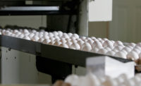 process egg products 