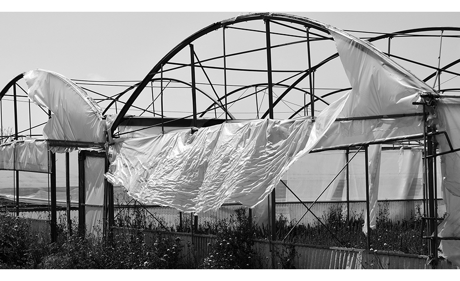 Greenhouse with deteriorated plastic film attached