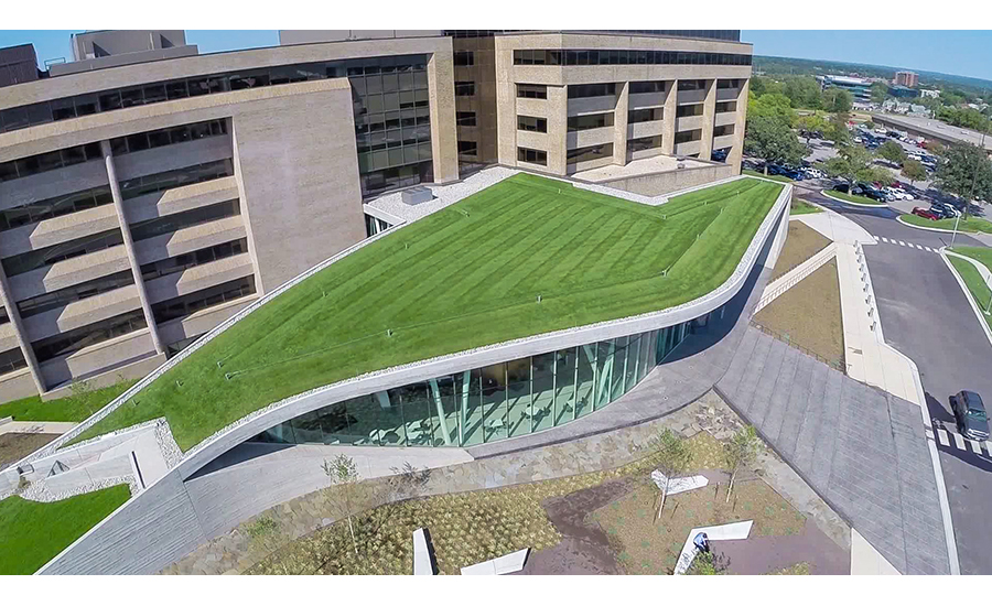 Green Roofs Can Help Runoff