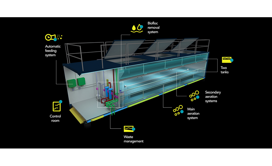 A diagram image of the inside of an Atarraya Shrimpbox