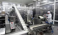 production-line-in-the-food-factory production-line-in-the-food-factory
