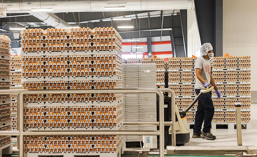 2022 05 16 vital farms ecs production 796
