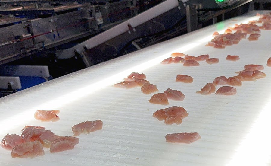 Laitram SMART Sorter Chicken Nuggets Poultry