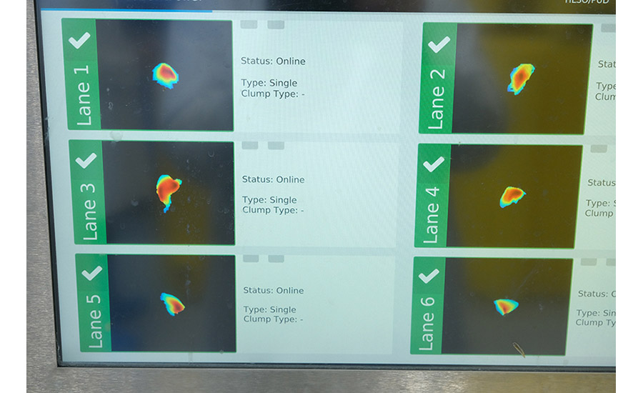 Laitram SMART Sorter Laser Imaging