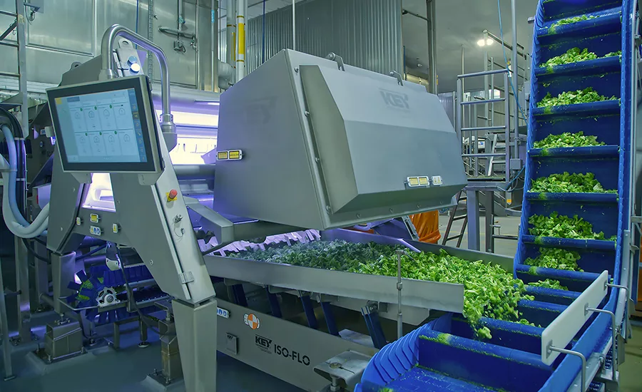 La Huerta VERYX Optical Sorter