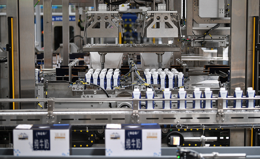 Ningxia dairy filling