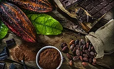 Cocoa pods