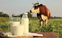 milk products on table with cow in background