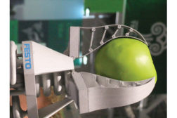 festo bionic gripper apple green
