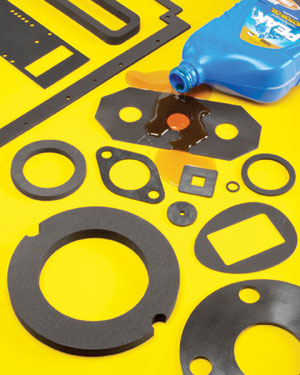 gaskets and seals interstate specialty products fkm